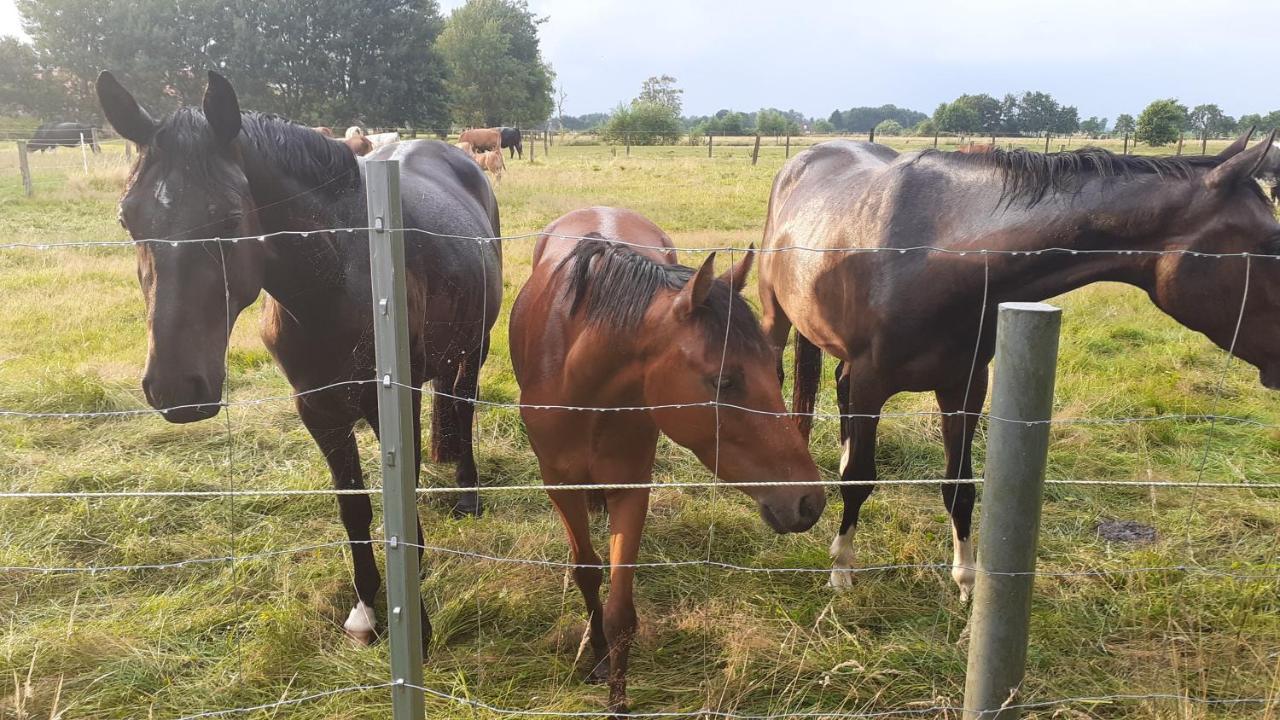 Mensteder Utkiek Lägenhet Großheide Exteriör bild